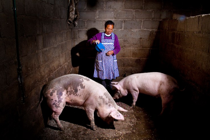 CRIANZA_GuillermoSerrano 01