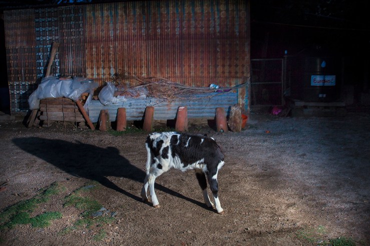 CRIANZA_GuillermoSerrano 04