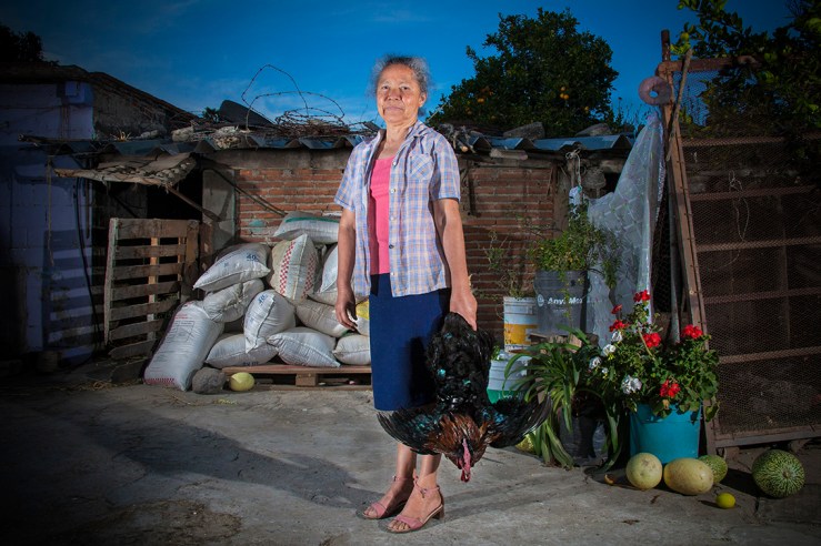 CRIANZA_GuillermoSerrano 05