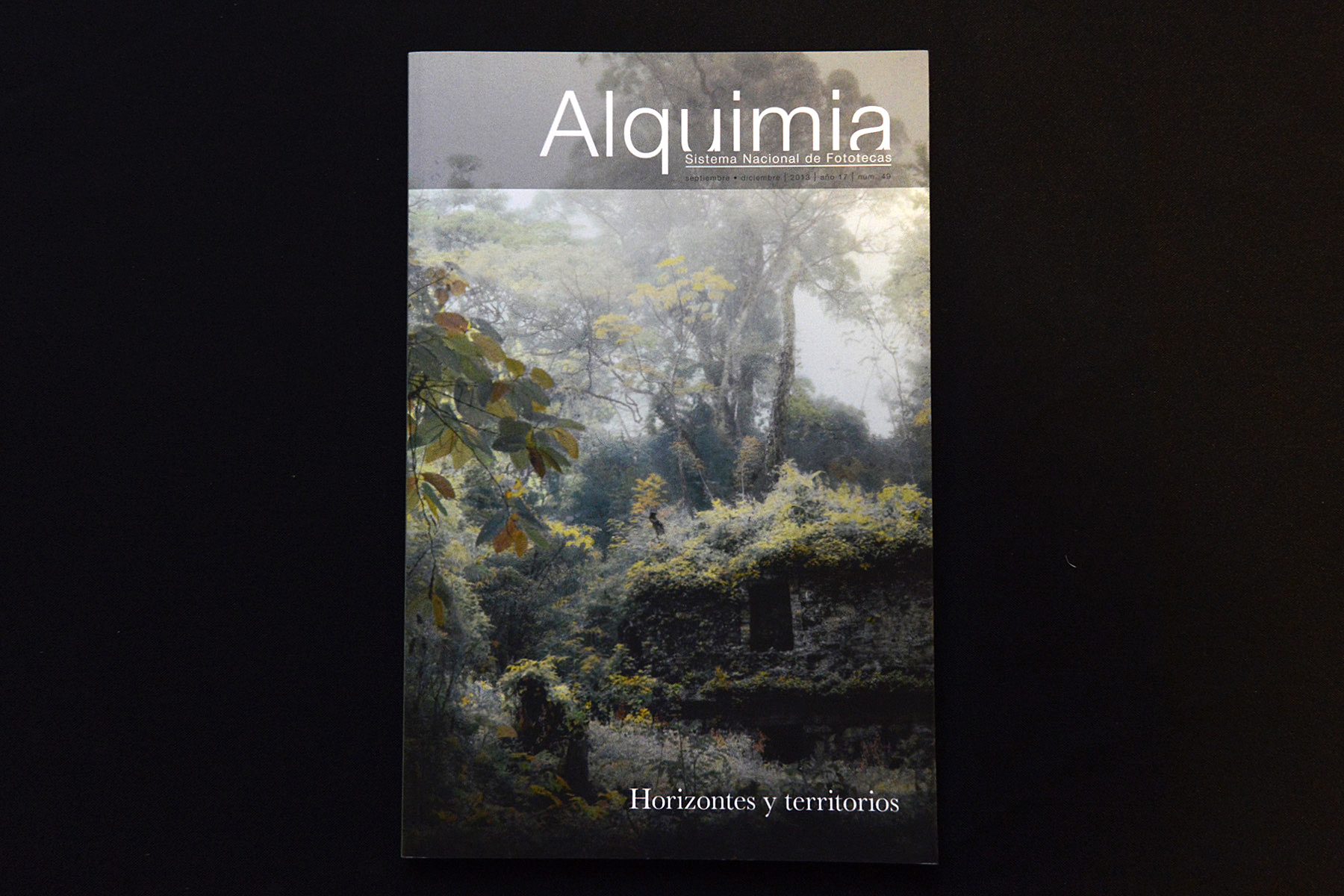 alquimia 49-01